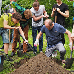 Akcje społeczne. Bierzemy udział w społecznych akcjach sadzenia roślin. Ledum Ogrody – projektowanie ogrodów przydomowych, projektowanie zielonych tarasów, projektowanie zielonych dachów, projektowanie ogrodów balkonowych, projektowanie małej architektury ogrodowej, doradztwo ogrodowe, warsztaty. Wrocław, Dolnośląskie.