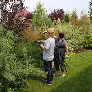 Maja w ogrodzie, odc. 465. Maja Popielarska z ekipą TVN i HBO odwiedzała ogrody, które projektowaliśmy i urządzaliśmy. Dzięki udanej współpracy z ich właścicielami, urokowi bylinowych rabat, fotogenicznym kwitnącym drzewom i krzewom, powiązaniu z krajobrazem i profesjonalizmowi telewizyjnej ekipy ogrody pięknie zaprezentowały się w programie. Ledum Ogrody – projektowanie ogrodów przydomowych, projektowanie zielonych tarasów, projektowanie zielonych dachów, projektowanie ogrodów balkonowych, projektowanie małej architektury ogrodowej, doradztwo ogrodowe, warsztaty. Wrocław, Dolnośląskie.