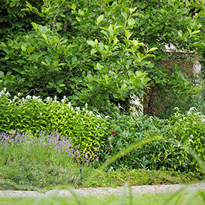 Lifting i przebudowa ogrodów. . Ledum Ogrody – projektowanie ogrodów przydomowych, projektowanie zielonych tarasów, projektowanie zielonych dachów, projektowanie ogrodów balkonowych, projektowanie małej architektury ogrodowej, doradztwo ogrodowe, warsztaty. Wrocław, Dolnośląskie.