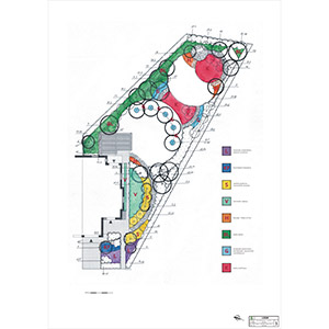 Malownicze Osiedle 2. Projekt ptasiego ogrodu na Malowniczym Osiedlu we Wrocławiu. Ledum Ogrody – projektowanie ogrodów przydomowych, projektowanie zielonych tarasów, projektowanie zielonych dachów, projektowanie ogrodów balkonowych, projektowanie małej architektury ogrodowej, doradztwo ogrodowe, warsztaty. Wrocław, Dolnośląskie.