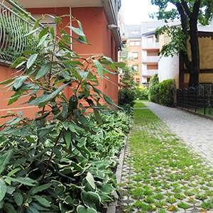 Archipelag Zieleni. Zieleń na osiedlu Archipelag Zieleni we Wrocławiu. Ledum Ogrody – projektowanie ogrodów przydomowych, projektowanie zielonych tarasów, projektowanie zielonych dachów, projektowanie ogrodów balkonowych, projektowanie małej architektury ogrodowej, doradztwo ogrodowe, warsztaty. Wrocław, Dolnośląskie.