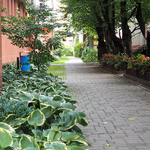 Archipelag Zieleni. Zieleń na osiedlu Archipelag Zieleni we Wrocławiu. Ledum Ogrody – projektowanie ogrodów przydomowych, projektowanie zielonych tarasów, projektowanie zielonych dachów, projektowanie ogrodów balkonowych, projektowanie małej architektury ogrodowej, doradztwo ogrodowe, warsztaty. Wrocław, Dolnośląskie.