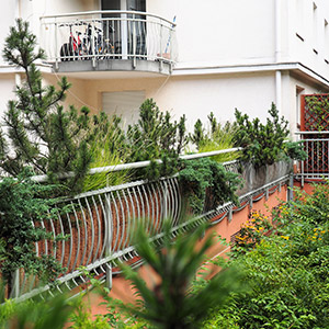 Archipelag Zieleni. Zieleń na osiedlu Archipelag Zieleni we Wrocławiu. Ledum Ogrody – projektowanie ogrodów przydomowych, projektowanie zielonych tarasów, projektowanie zielonych dachów, projektowanie ogrodów balkonowych, projektowanie małej architektury ogrodowej, doradztwo ogrodowe, warsztaty. Wrocław, Dolnośląskie.