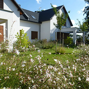 Domaszczyn. Rodzinny ogród w Domaszczynie. Ledum Ogrody – projektowanie ogrodów przydomowych, projektowanie zielonych tarasów, projektowanie zielonych dachów, projektowanie ogrodów balkonowych, projektowanie małej architektury ogrodowej, doradztwo ogrodowe, warsztaty. Wrocław, Dolnośląskie.