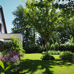Domaszczyn. Rodzinny ogród w Domaszczynie. Ledum Ogrody – projektowanie ogrodów przydomowych, projektowanie zielonych tarasów, projektowanie zielonych dachów, projektowanie ogrodów balkonowych, projektowanie małej architektury ogrodowej, doradztwo ogrodowe, warsztaty. Wrocław, Dolnośląskie.