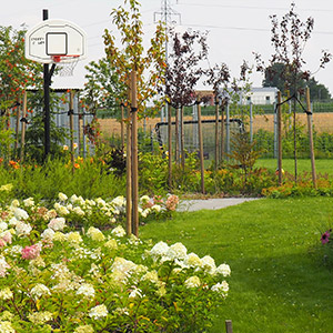 Kalisz. Bujny ogród w Kaliszu. Ledum Ogrody – projektowanie ogrodów przydomowych, projektowanie zielonych tarasów, projektowanie zielonych dachów, projektowanie ogrodów balkonowych, projektowanie małej architektury ogrodowej, doradztwo ogrodowe, warsztaty. Wrocław, Dolnośląskie.