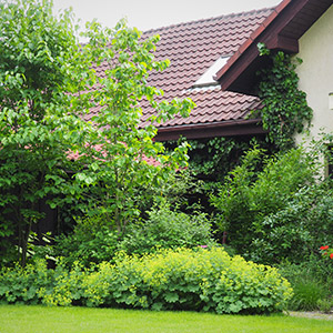 Kiełczów 1. Zimozielony ogród w Kiełczowie. Ledum Ogrody – projektowanie ogrodów przydomowych, projektowanie zielonych tarasów, projektowanie zielonych dachów, projektowanie ogrodów balkonowych, projektowanie małej architektury ogrodowej, doradztwo ogrodowe, warsztaty. Wrocław, Dolnośląskie.