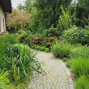 Kiełczów 1. Zimozielony ogród w Kiełczowie. Ledum Ogrody – projektowanie ogrodów przydomowych, projektowanie zielonych tarasów, projektowanie zielonych dachów, projektowanie ogrodów balkonowych, projektowanie małej architektury ogrodowej, doradztwo ogrodowe, warsztaty. Wrocław, Dolnośląskie.