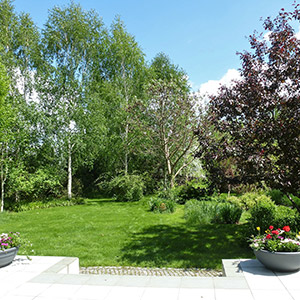 Kiełczów 2. Leśny ogród w Kiełczowie. Ledum Ogrody – projektowanie ogrodów przydomowych, projektowanie zielonych tarasów, projektowanie zielonych dachów, projektowanie ogrodów balkonowych, projektowanie małej architektury ogrodowej, doradztwo ogrodowe, warsztaty. Wrocław, Dolnośląskie.