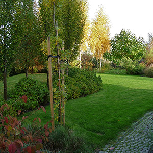 Kiełczów 2. Leśny ogród w Kiełczowie. Ledum Ogrody – projektowanie ogrodów przydomowych, projektowanie zielonych tarasów, projektowanie zielonych dachów, projektowanie ogrodów balkonowych, projektowanie małej architektury ogrodowej, doradztwo ogrodowe, warsztaty. Wrocław, Dolnośląskie.