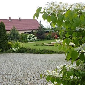 Kryniczno. Tradycyjny ogród w Krynicznie. Ledum Ogrody – projektowanie ogrodów przydomowych, projektowanie zielonych tarasów, projektowanie zielonych dachów, projektowanie ogrodów balkonowych, projektowanie małej architektury ogrodowej, doradztwo ogrodowe, warsztaty. Wrocław, Dolnośląskie.