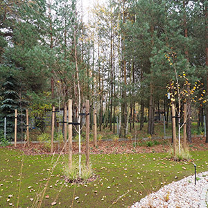 Pajęczno. Ogród pod lasem w Pajęcznie. Ledum Ogrody – projektowanie ogrodów przydomowych, projektowanie zielonych tarasów, projektowanie zielonych dachów, projektowanie ogrodów balkonowych, projektowanie małej architektury ogrodowej, doradztwo ogrodowe, warsztaty. Wrocław, Dolnośląskie.
