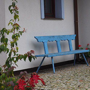 Pajęczno. Ogród pod lasem w Pajęcznie. Ledum Ogrody – projektowanie ogrodów przydomowych, projektowanie zielonych tarasów, projektowanie zielonych dachów, projektowanie ogrodów balkonowych, projektowanie małej architektury ogrodowej, doradztwo ogrodowe, warsztaty. Wrocław, Dolnośląskie.