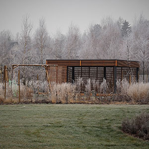 Wilkszyn. Ogród inspirowany lasem i łąką w Wilkszynie. Ledum Ogrody – projektowanie ogrodów przydomowych, projektowanie zielonych tarasów, projektowanie zielonych dachów, projektowanie ogrodów balkonowych, projektowanie małej architektury ogrodowej, doradztwo ogrodowe, warsztaty. Wrocław, Dolnośląskie.