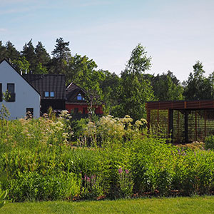 Wilkszyn. Ogród inspirowany lasem i łąką w Wilkszynie. Ledum Ogrody – projektowanie ogrodów przydomowych, projektowanie zielonych tarasów, projektowanie zielonych dachów, projektowanie ogrodów balkonowych, projektowanie małej architektury ogrodowej, doradztwo ogrodowe, warsztaty. Wrocław, Dolnośląskie.