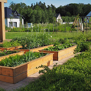 Wilkszyn. Ogród inspirowany lasem i łąką w Wilkszynie. Ledum Ogrody – projektowanie ogrodów przydomowych, projektowanie zielonych tarasów, projektowanie zielonych dachów, projektowanie ogrodów balkonowych, projektowanie małej architektury ogrodowej, doradztwo ogrodowe, warsztaty. Wrocław, Dolnośląskie.