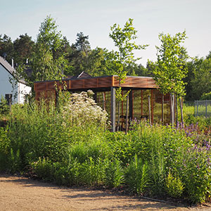 Wilkszyn. Ogród inspirowany lasem i łąką w Wilkszynie. Ledum Ogrody – projektowanie ogrodów przydomowych, projektowanie zielonych tarasów, projektowanie zielonych dachów, projektowanie ogrodów balkonowych, projektowanie małej architektury ogrodowej, doradztwo ogrodowe, warsztaty. Wrocław, Dolnośląskie.