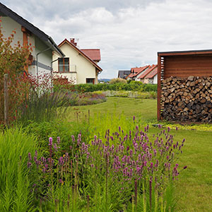 Wilkszyn. Ogród inspirowany lasem i łąką w Wilkszynie. Ledum Ogrody – projektowanie ogrodów przydomowych, projektowanie zielonych tarasów, projektowanie zielonych dachów, projektowanie ogrodów balkonowych, projektowanie małej architektury ogrodowej, doradztwo ogrodowe, warsztaty. Wrocław, Dolnośląskie.