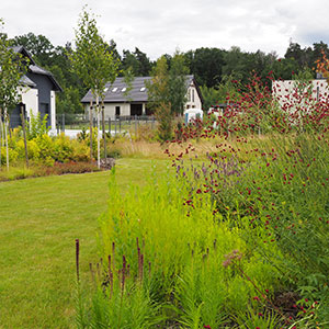 Wilkszyn. Ogród inspirowany lasem i łąką w Wilkszynie. Ledum Ogrody – projektowanie ogrodów przydomowych, projektowanie zielonych tarasów, projektowanie zielonych dachów, projektowanie ogrodów balkonowych, projektowanie małej architektury ogrodowej, doradztwo ogrodowe, warsztaty. Wrocław, Dolnośląskie.