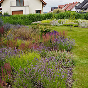 Wilkszyn. Ogród inspirowany lasem i łąką w Wilkszynie. Ledum Ogrody – projektowanie ogrodów przydomowych, projektowanie zielonych tarasów, projektowanie zielonych dachów, projektowanie ogrodów balkonowych, projektowanie małej architektury ogrodowej, doradztwo ogrodowe, warsztaty. Wrocław, Dolnośląskie.