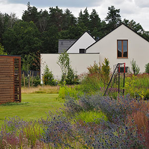 Wilkszyn. Ogród inspirowany lasem i łąką w Wilkszynie. Ledum Ogrody – projektowanie ogrodów przydomowych, projektowanie zielonych tarasów, projektowanie zielonych dachów, projektowanie ogrodów balkonowych, projektowanie małej architektury ogrodowej, doradztwo ogrodowe, warsztaty. Wrocław, Dolnośląskie.