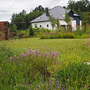 Wilkszyn. Ogród inspirowany lasem i łąką w Wilkszynie. Ledum Ogrody – projektowanie ogrodów przydomowych, projektowanie zielonych tarasów, projektowanie zielonych dachów, projektowanie ogrodów balkonowych, projektowanie małej architektury ogrodowej, doradztwo ogrodowe, warsztaty. Wrocław, Dolnośląskie.