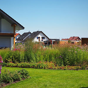 Wilkszyn. Ogród inspirowany lasem i łąką w Wilkszynie. Ledum Ogrody – projektowanie ogrodów przydomowych, projektowanie zielonych tarasów, projektowanie zielonych dachów, projektowanie ogrodów balkonowych, projektowanie małej architektury ogrodowej, doradztwo ogrodowe, warsztaty. Wrocław, Dolnośląskie.