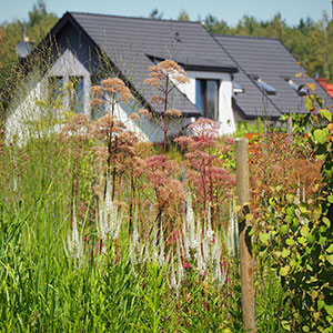 Wilkszyn. Ogród inspirowany lasem i łąką w Wilkszynie. Ledum Ogrody – projektowanie ogrodów przydomowych, projektowanie zielonych tarasów, projektowanie zielonych dachów, projektowanie ogrodów balkonowych, projektowanie małej architektury ogrodowej, doradztwo ogrodowe, warsztaty. Wrocław, Dolnośląskie.