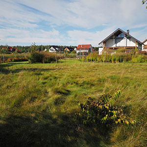 Wilkszyn. Ogród inspirowany lasem i łąką w Wilkszynie. Ledum Ogrody – projektowanie ogrodów przydomowych, projektowanie zielonych tarasów, projektowanie zielonych dachów, projektowanie ogrodów balkonowych, projektowanie małej architektury ogrodowej, doradztwo ogrodowe, warsztaty. Wrocław, Dolnośląskie.