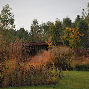 Wilkszyn. Ogród inspirowany lasem i łąką w Wilkszynie. Ledum Ogrody – projektowanie ogrodów przydomowych, projektowanie zielonych tarasów, projektowanie zielonych dachów, projektowanie ogrodów balkonowych, projektowanie małej architektury ogrodowej, doradztwo ogrodowe, warsztaty. Wrocław, Dolnośląskie.