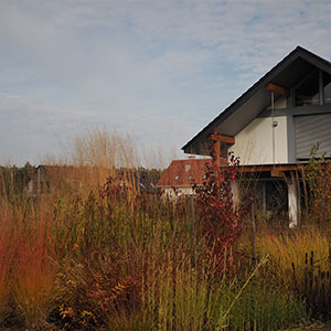 Wilkszyn. Ogród inspirowany lasem i łąką w Wilkszynie. Ledum Ogrody – projektowanie ogrodów przydomowych, projektowanie zielonych tarasów, projektowanie zielonych dachów, projektowanie ogrodów balkonowych, projektowanie małej architektury ogrodowej, doradztwo ogrodowe, warsztaty. Wrocław, Dolnośląskie.