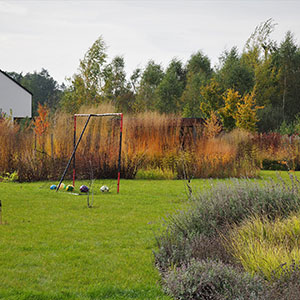 Wilkszyn. Ogród inspirowany lasem i łąką w Wilkszynie. Ledum Ogrody – projektowanie ogrodów przydomowych, projektowanie zielonych tarasów, projektowanie zielonych dachów, projektowanie ogrodów balkonowych, projektowanie małej architektury ogrodowej, doradztwo ogrodowe, warsztaty. Wrocław, Dolnośląskie.