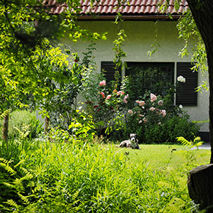 Zabardowice. Ogród wpisany w krajobraz w Zabardowicach. Ledum Ogrody – projektowanie ogrodów przydomowych, projektowanie zielonych tarasów, projektowanie zielonych dachów, projektowanie ogrodów balkonowych, projektowanie małej architektury ogrodowej, doradztwo ogrodowe, warsztaty. Wrocław, Dolnośląskie.