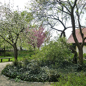 Zabardowice. Ogród wpisany w krajobraz w Zabardowicach. Ledum Ogrody – projektowanie ogrodów przydomowych, projektowanie zielonych tarasów, projektowanie zielonych dachów, projektowanie ogrodów balkonowych, projektowanie małej architektury ogrodowej, doradztwo ogrodowe, warsztaty. Wrocław, Dolnośląskie.