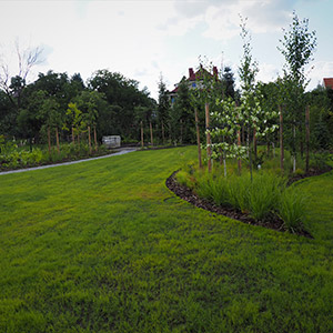Trawniki z siewu. Zakładamy trawniki dopasowane do lokalnych warunków, używając własnych mieszanek nasion. Ledum Ogrody – projektowanie ogrodów przydomowych, projektowanie zielonych tarasów, projektowanie zielonych dachów, projektowanie ogrodów balkonowych, projektowanie małej architektury ogrodowej, doradztwo ogrodowe, warsztaty. Wrocław, Dolnośląskie.